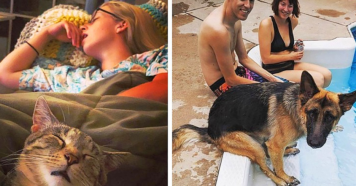 15 Fotografii Cu Animale Care Odat Cu Trecerea Timpului Se Comport 